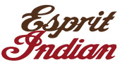 Esprit-INDIAN.com - Toutes les pièces détachées INDIAN , vues éclatées et microfiches, accessoires, équipement et vêtements INDIAN 