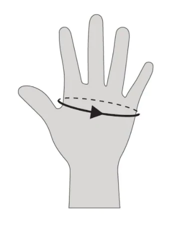 Guide des tailles gant indian